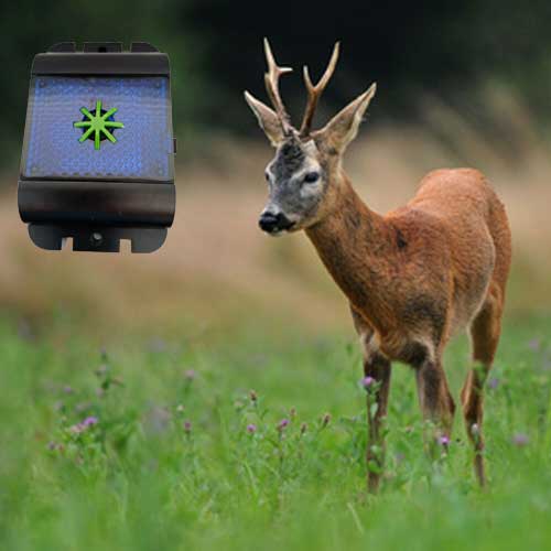 odstraszacz na sarny